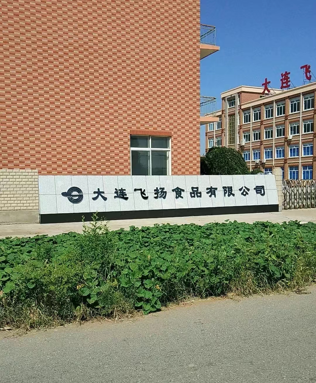 大连飞扬食品有限公司案例
