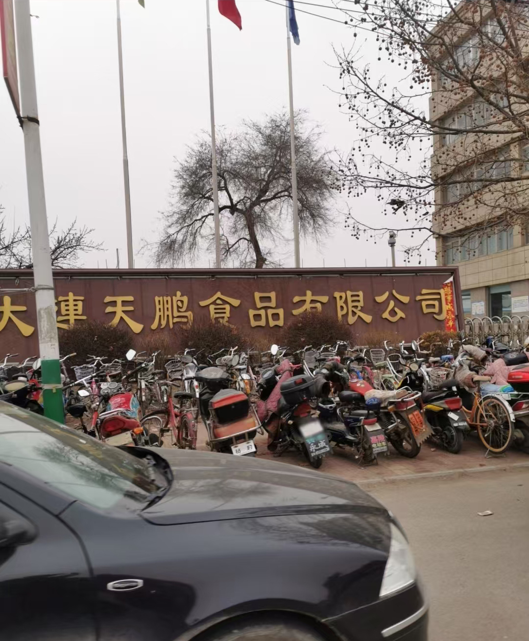 大连天鹏食品
